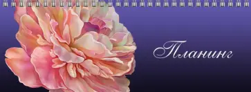 Планинг недатированный Китайская роза, 64 листа обложка книги