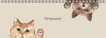 Планинг недатированный Кошачьи приветствия, 64 листа обложка книги