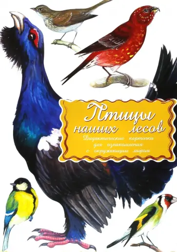 Дидактические карточки Птицы наших лесов Дидактические карточки Птицы наших лесов обложка книги
