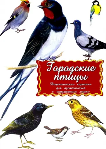 Дидактические карточки Городские птицы Дидактические карточки Городские птицы обложка книги