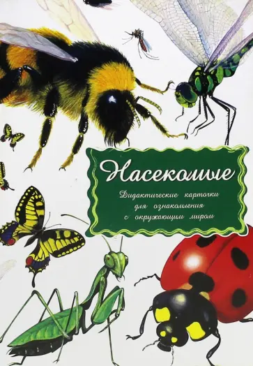 Дидактические карточки Насекомые Дидактические карточки Насекомые обложка книги