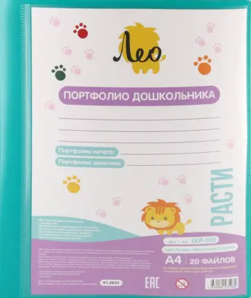Папка-портфолио дошкольника с файлами Расти, А4, 20 листов, бирюзовая обложка книги