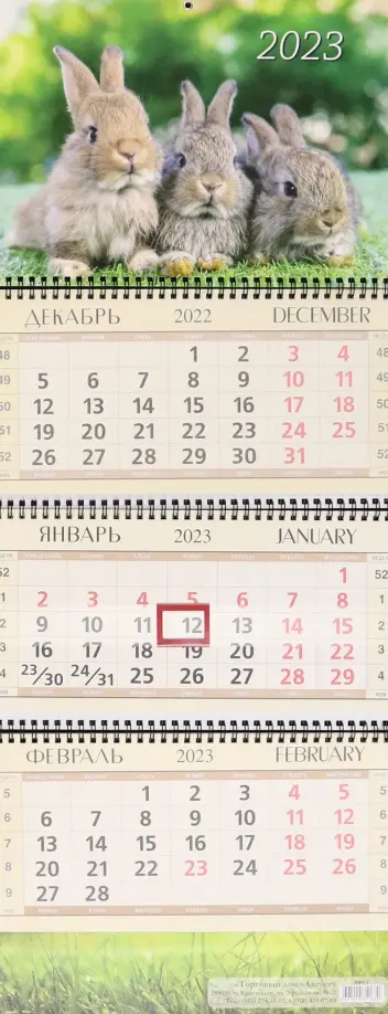 Календарь квартальный на 2023 год Солнечные зайчики обложка книги