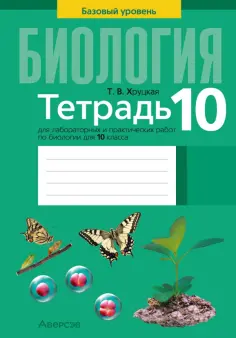 Рабочие тетради