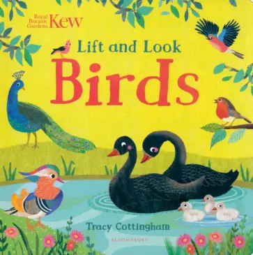 Tracy Cottingham - Kew. Lift and Look Birds Tracy Cottingham - Kew. Lift and Look Birds обложка книги