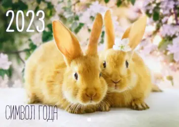 Календарь настенный на 2023 год, перекидной. Кролик обложка книги