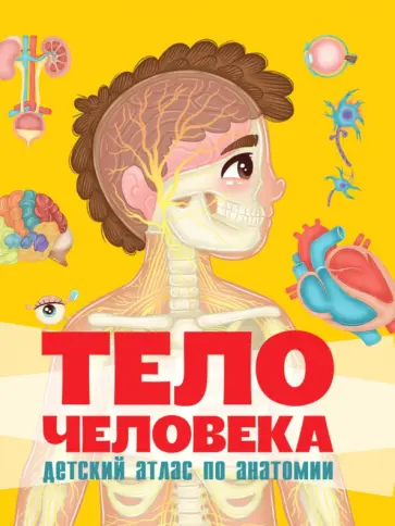 Тело человека. Детский атлас по анатомии обложка книги