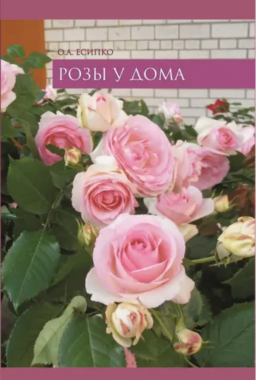 Олег Есипко - Розы у дома Олег Есипко - Розы у дома обложка книги