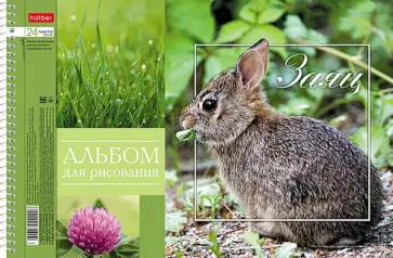 Альбом для рисования BabyZoo, А4, 24 листа, в ассортименте обложка книги