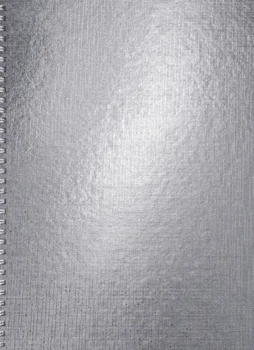 Тетрадь Metallic. Серебро, 96 листов, А4, клетка Тетрадь Metallic. Серебро, 96 листов, А4, клетка обложка книги