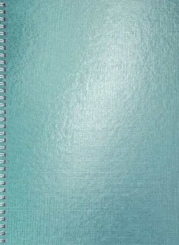 Тетрадь Metallic. Мята, 96 листов, А4, клетка обложка книги