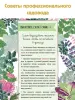 Миниатюра 4