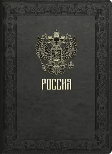Папка для документов Сариф. Чёрный, А4+ обложка книги