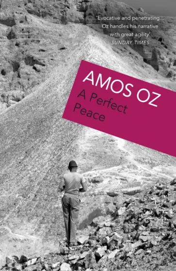 Amos Oz - A Perfect Peace обложка книги
