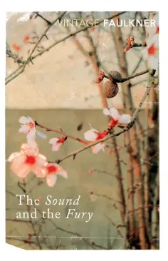 William Faulkner - The Sound and the Fury William Faulkner - The Sound and the Fury обложка книги
