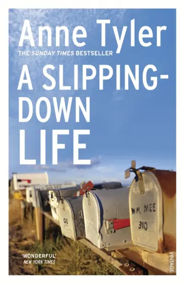 Anne Tyler - A Slipping Down Life Anne Tyler - A Slipping Down Life обложка книги