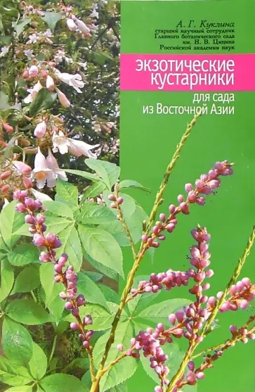 Алла Куклина - Экзотические кустарники для сада из Восточной Азии Алла Куклина - Экзотические кустарники для сада из Восточной Азии обложка книги