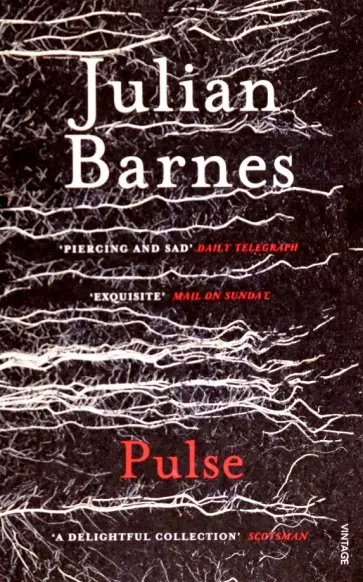 Julian Barnes - Pulse обложка книги