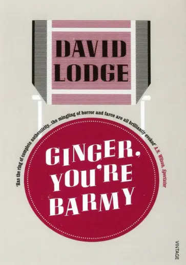 David Lodge - Ginger, You're Barmy обложка книги