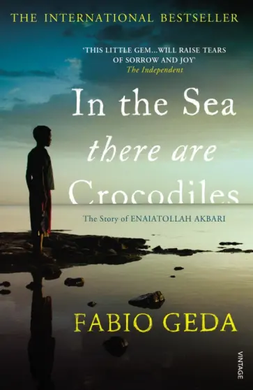 Fabio Geda - In the Sea There are Crocodiles обложка книги