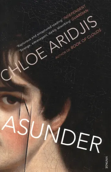 Chloe Aridjis - Asunder обложка книги