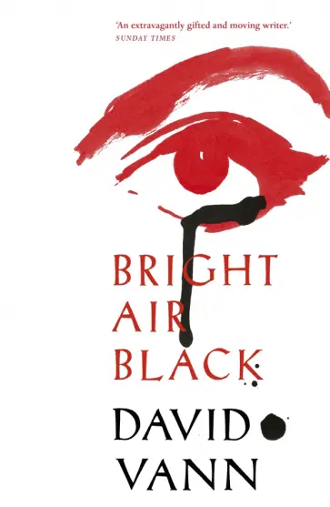David Vann - Bright Air Black обложка книги