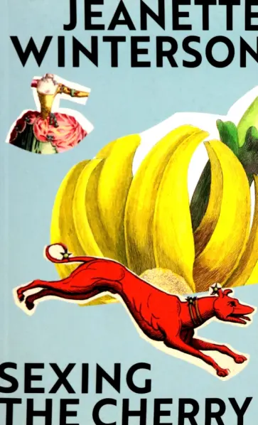 Jeanette Winterson - Sexing The Cherry обложка книги