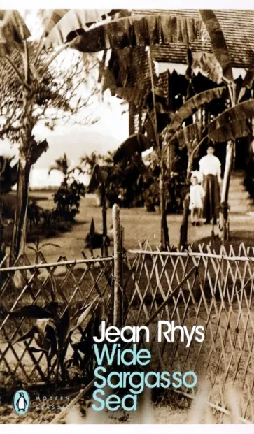 Jean Rhys - Wide Sargasso Sea обложка книги