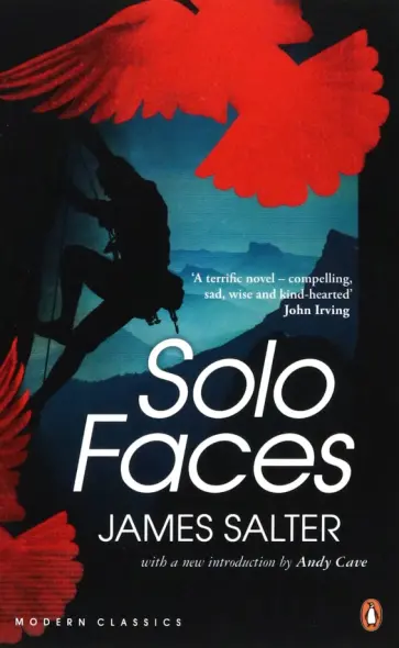 James Salter - Solo Faces обложка книги