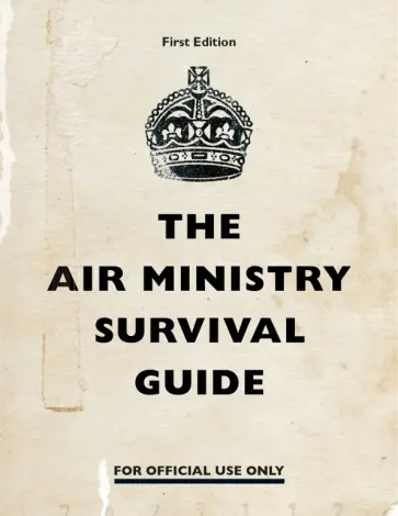The Air Ministry Survival Guide The Air Ministry Survival Guide обложка книги