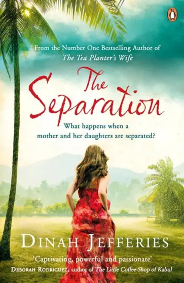 Dinah Jefferies - The Separation обложка книги