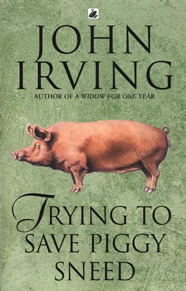 John Irving - Trying to Save Piggy Sneed обложка книги