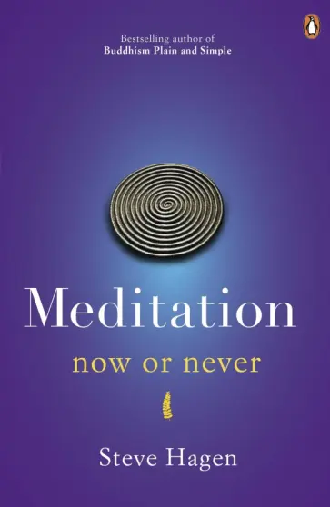 Steve Hagen - Meditation now or never обложка книги