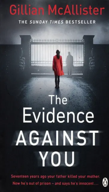 Gillian McAllister - The Evidence Against You обложка книги