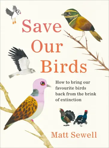Matt Sewell - Save Our Birds. How to bring our favourite birds back from the brink of extinction обложка книги