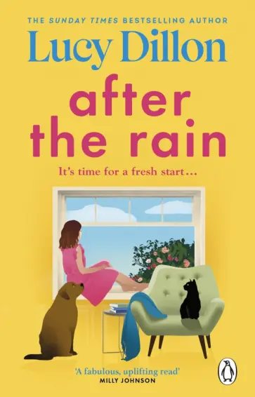 Lucy Dillon - After the Rain обложка книги