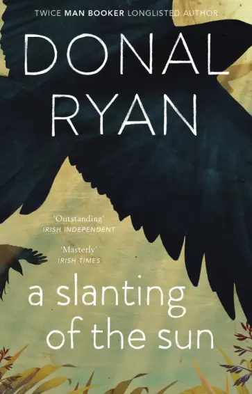 Donal Ryan - A Slanting of the Sun Donal Ryan - A Slanting of the Sun обложка книги
