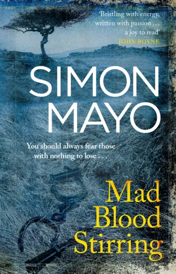 Simon Mayo - Mad Blood Stirring обложка книги