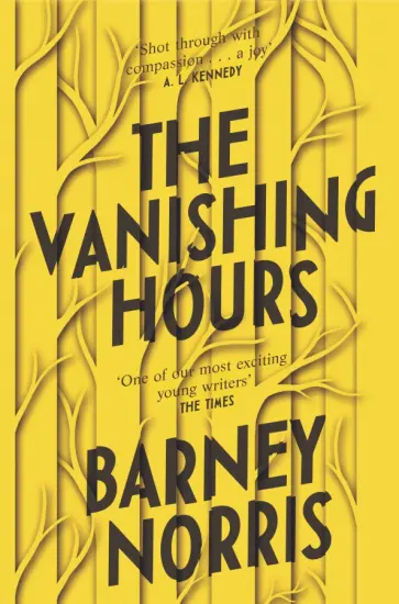 Barney Norris - The Vanishing Hours обложка книги