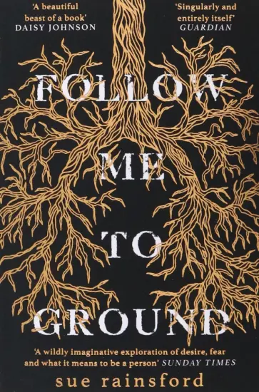 Sue Rainsford - Follow Me To Ground обложка книги