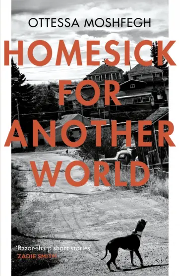 Ottessa Moshfegh - Homesick For Another World обложка книги