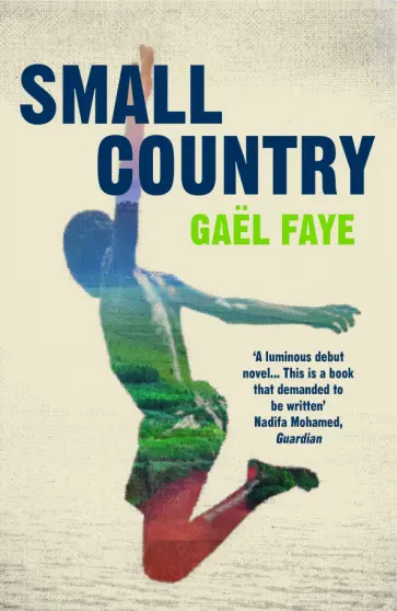 Gael Faye - Small Country обложка книги