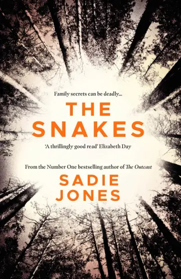 Sadie Jones - The Snakes обложка книги