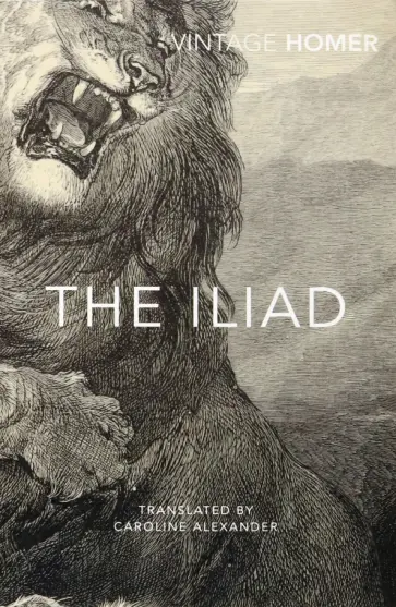 Homer - The Iliad обложка книги
