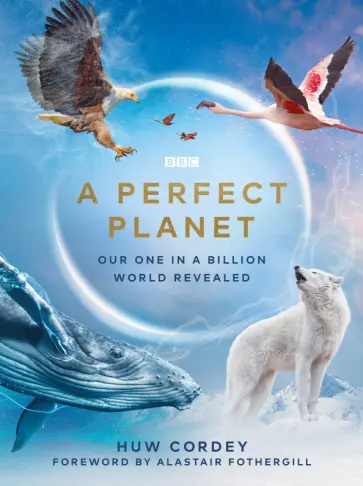 Huw Cordey - A Perfect Planet обложка книги