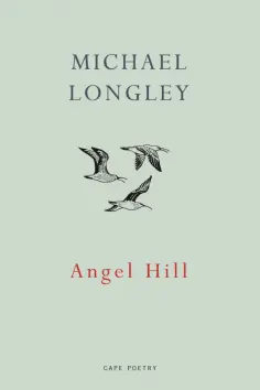 Michael Longley - Angel Hill обложка книги