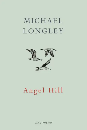Michael Longley - Angel Hill обложка книги