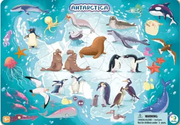 Пазл Антарктида, в рамке. 53 элемента обложка книги