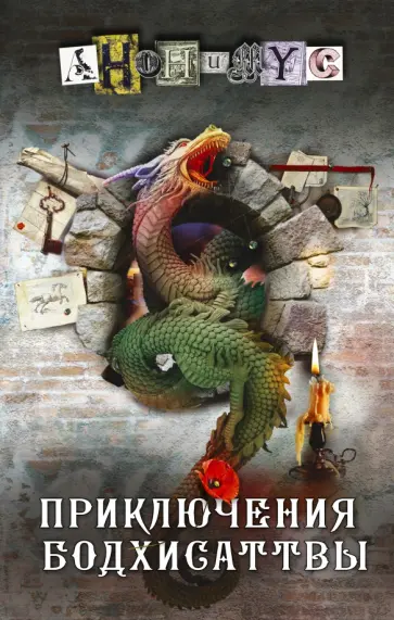 Анонимyс - Приключения бодхисаттвы обложка книги