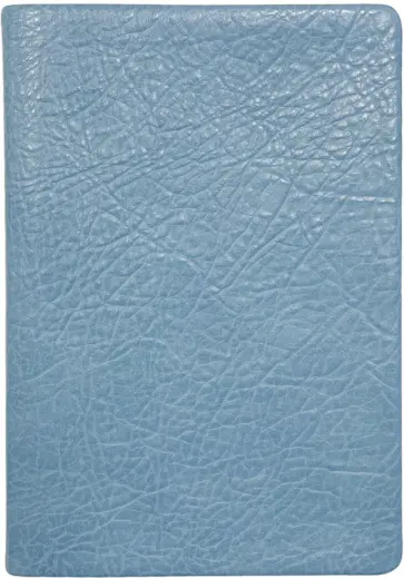 Ежедневник недатированный, 96 листов, А5, Turtle, голубой обложка книги